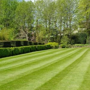 Roller Mower Lawn